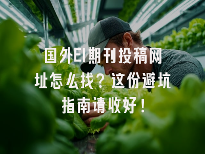 国外EI期刊投稿网址怎么找？这份避坑指南请收好！
