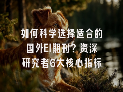 如何科学选择适合的国外EI期刊？资深研究者6大核心指标