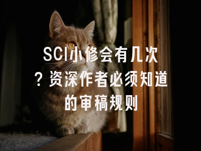 SCI小修会有几次？资深作者必须知道的审稿规则