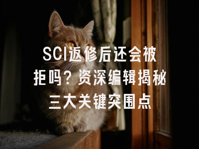 SCI返修后还会被拒吗？资深编辑揭秘三大关键突围点