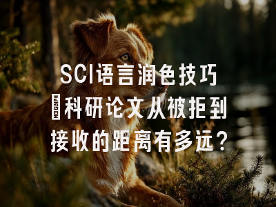 SCI语言润色技巧：科研论文从被拒到接收的距离有多远？