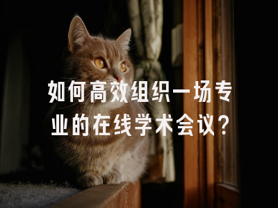 如何高效组织一场专业的在线学术会议？
