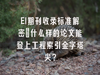 学术会议在线