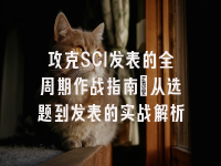 学术会议在线