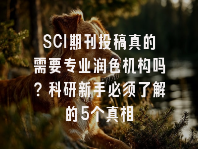 SCI期刊投稿真的需要专业润色机构吗？科研新手必须了解的5个真相
