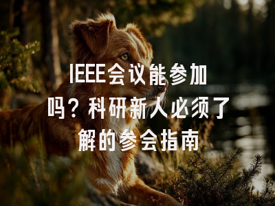 IEEE会议能参加吗？科研新人必须了解的参会指南