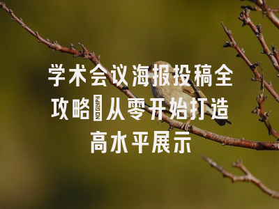学术会议海报投稿全攻略：从零开始打造高水平展示