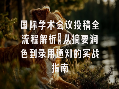 国际学术会议投稿全流程解析：从摘要润色到录用通知的实战指南