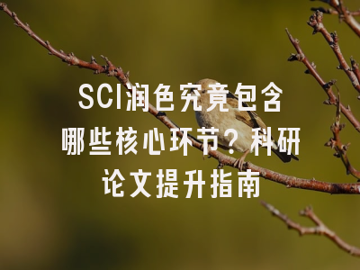 SCI润色究竟包含哪些核心环节？科研论文提升指南