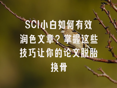 SCI小白如何有效润色文章？掌握这些技巧让你的论文脱胎换骨