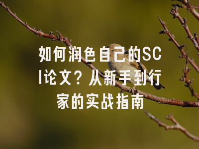 如何润色自己的SCI论文？从新手到行家的实战指南