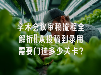 学术会议审稿流程全解析：从投稿到录用需要闯过多少关卡？