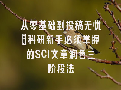 从零基础到投稿无忧：科研新手必须掌握的SCI文章润色三阶段法