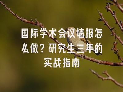 国际学术会议墙报怎么做？研究生三年的实战指南