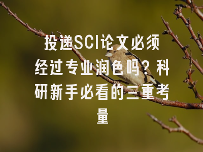 投递SCI论文必须经过专业润色吗？科研新手必看的三重考量