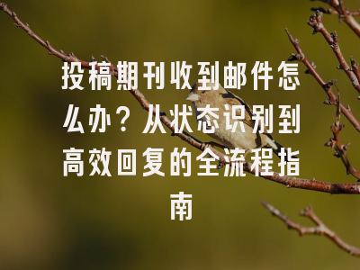投稿期刊收到邮件怎么办？从状态识别到高效回复的全流程指南