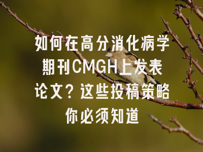 如何在高分消化病学期刊CMGH上发表论文？这些投稿策略你必须知道