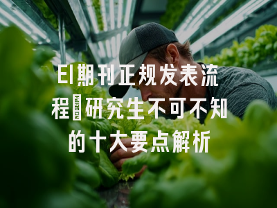 EI期刊正规发表流程：研究生不可不知的十大要点解析