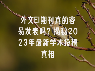 外文EI期刊真的容易发表吗？揭秘2023年最新学术投稿真相