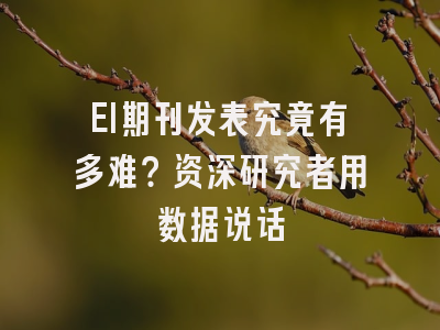 EI期刊发表究竟有多难？资深研究者用数据说话