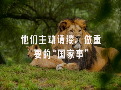 他们主动请缨，做重要的“国家事”