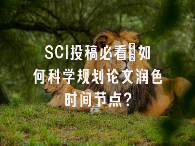 SCI投稿必看：如何科学规划论文润色时间节点？