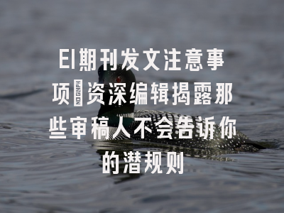 EI期刊发文注意事项：资深编辑揭露那些审稿人不会告诉你的潜规则