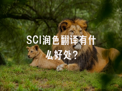 SCI润色翻译有什么好处？