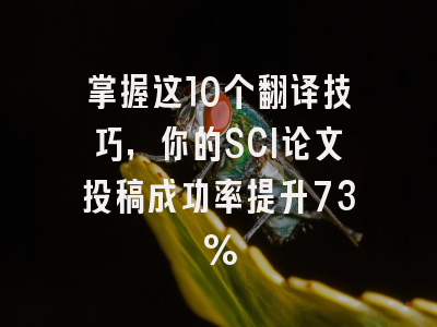 掌握这10个翻译技巧，你的SCI论文投稿成功率提升73%