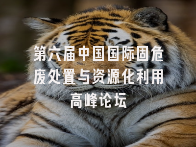第六届中国国际固危废处置与资源化利用高峰论坛
