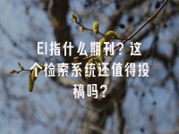 学术会议在线