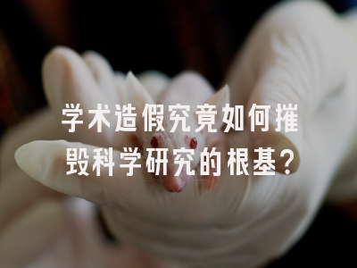 学术造假究竟如何摧毁科学研究的根基？