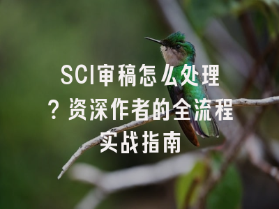 SCI审稿怎么处理？资深作者的全流程实战指南