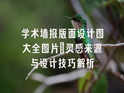 学术墙报版面设计图大全图片：灵感来源与设计技巧解析
