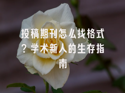 投稿期刊怎么找格式？学术新人的生存指南