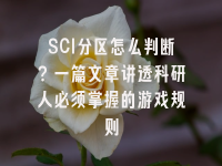 学术会议在线