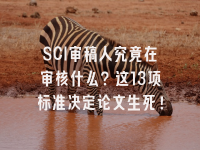 学术会议在线