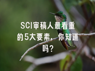 SCI审稿人最看重的5大要素，你知道吗？