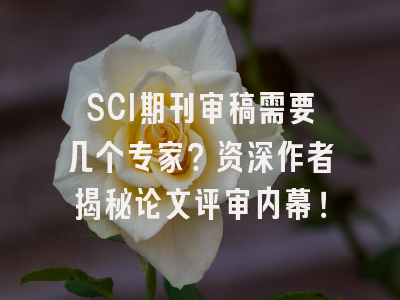 SCI期刊审稿需要几个专家？资深作者揭秘论文评审内幕！