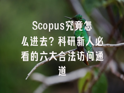Scopus究竟怎么进去？科研新人必看的六大合法访问通道