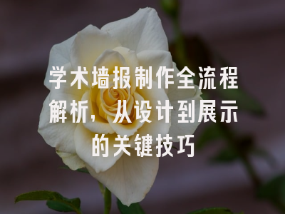 学术墙报制作全流程解析，从设计到展示的关键技巧