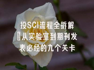 投SCI流程全拆解：从实验室到期刊发表必经的九个关卡