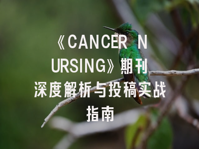《CANCER NURSING》期刊深度解析与投稿实战指南