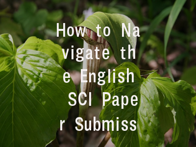 How to Navigate the English SCI Paper Submission Maze in 2023?