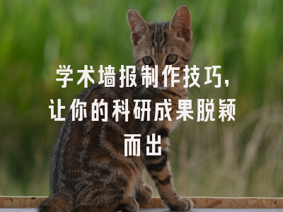 学术墙报制作技巧，让你的科研成果脱颖而出