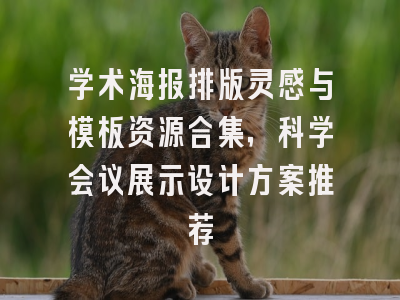 学术海报排版灵感与模板资源合集，科学会议展示设计方案推荐