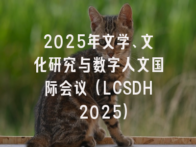 2025年文学、文化研究与数字人文国际会议（LCSDH 2025）