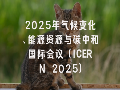 2025年气候变化、能源资源与碳中和国际会议（ICERN 2025）