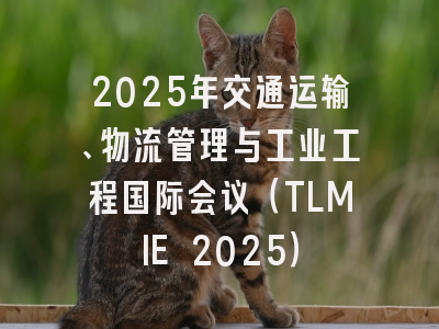 2025年交通运输、物流管理与工业工程国际会议（TLMIE 2025）