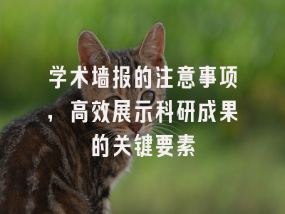 学术墙报的注意事项，高效展示科研成果的关键要素